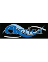 Attica